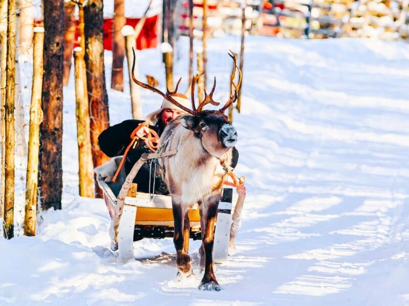 Laponie finlandaise en été : 8 expériences à vivre lors de votre voyage