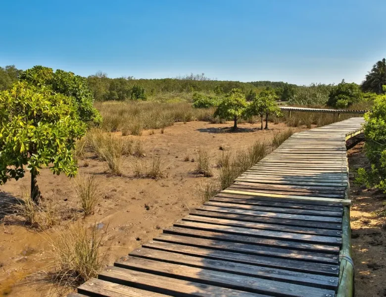 Que faire à Durban ? Voici les 12 choses à faire absolument pendant votre séjour !