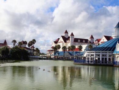 Port Elizabeth : 10 choses à faire absolument pendant votre séjour