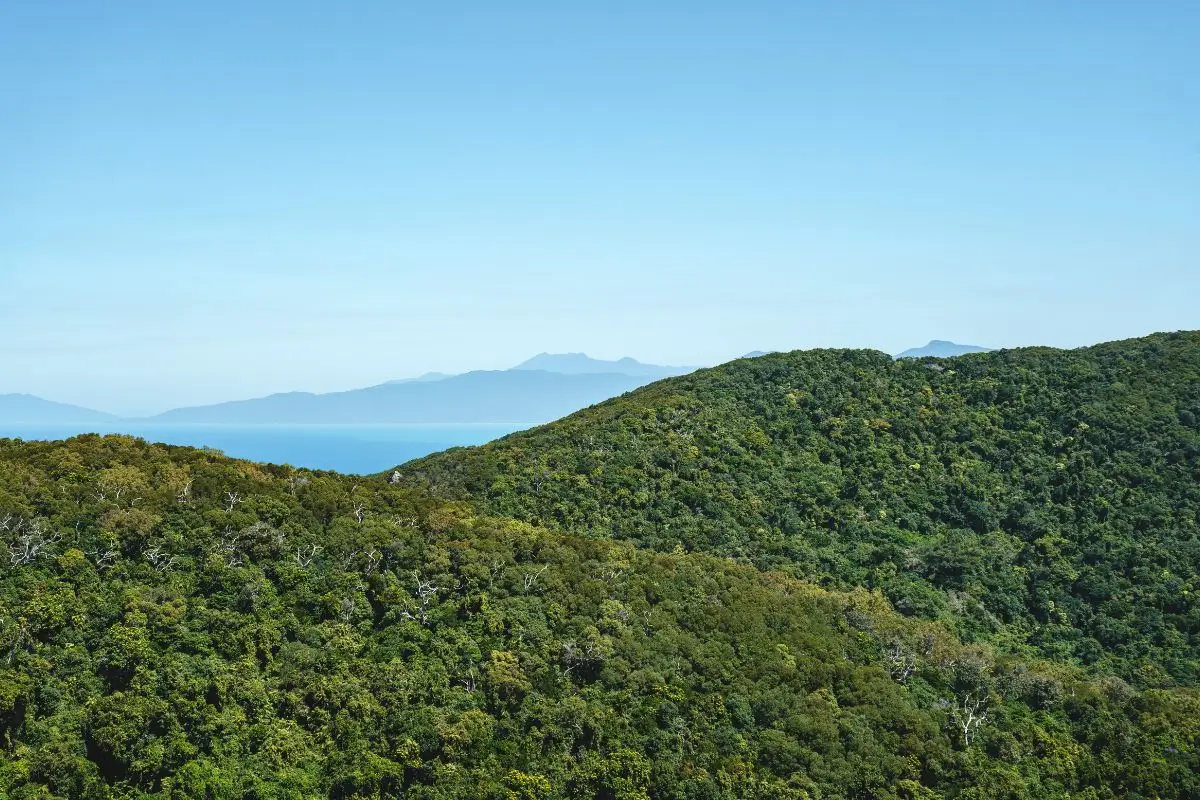 australie Fitzroy Island