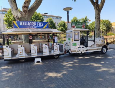 Une journée à Perpignan en famille : petit train touristique et bons plans