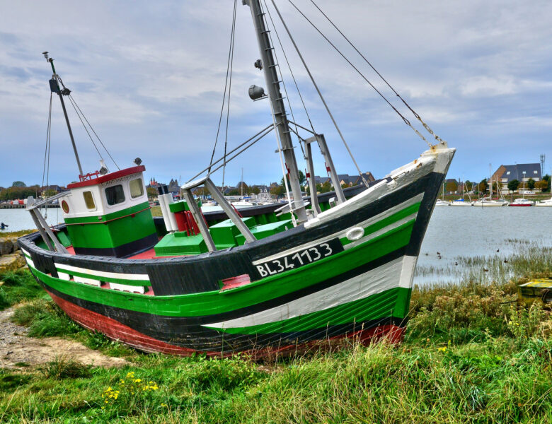 Que faire au Crotoy en baie de Somme : traversée à pied, phoques et bons plans famille