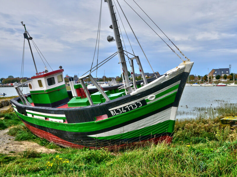 Que faire au Crotoy en baie de Somme : traversée à pied, phoques et bons plans famille
