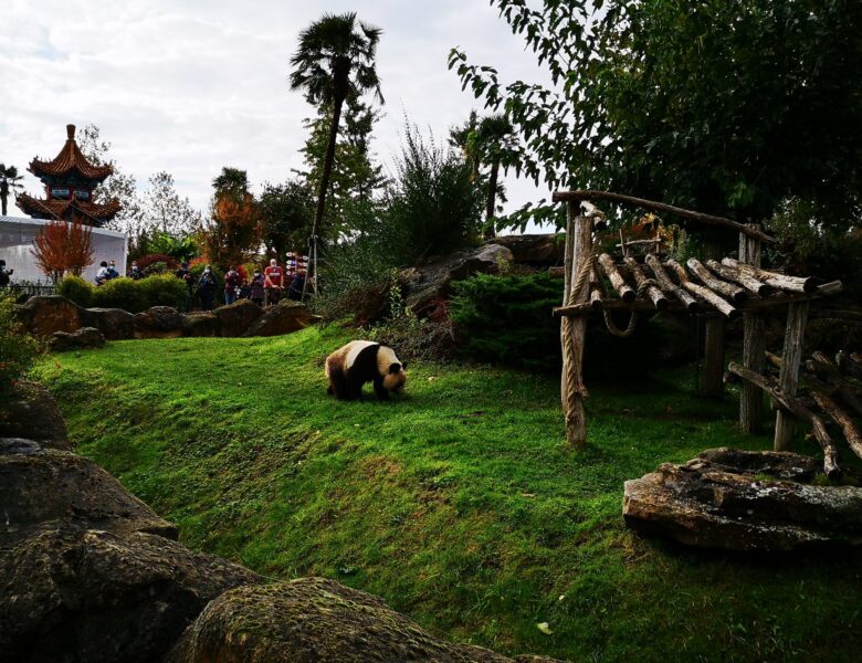 ZooParc de Beauval en famille : deux jours et une nuit à l&rsquo;hôtel Les Pagodes