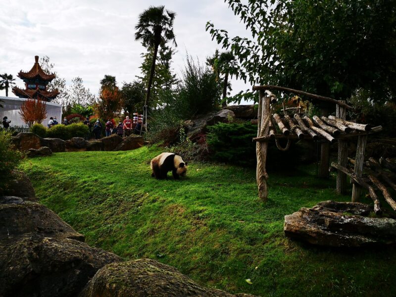 ZooParc de Beauval en famille : deux jours et une nuit à l'hôtel Les Pagodes